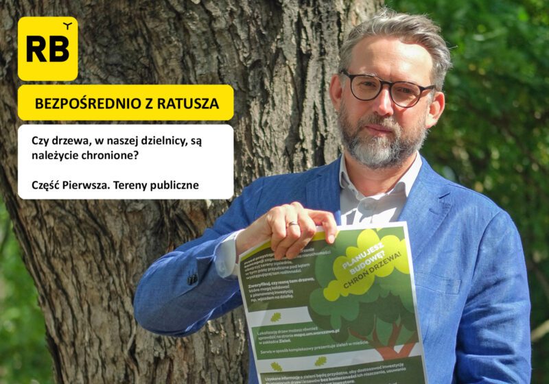 Rembertowskie drzewa