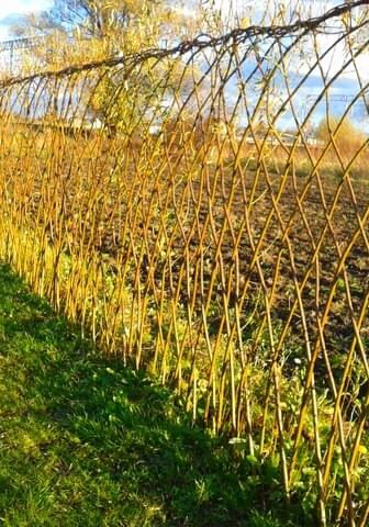 4318ebce0862735d (2) 4318ebce0862735d (2)